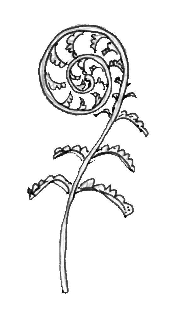 NELE SCHOUTTETEN, MSW, RSW